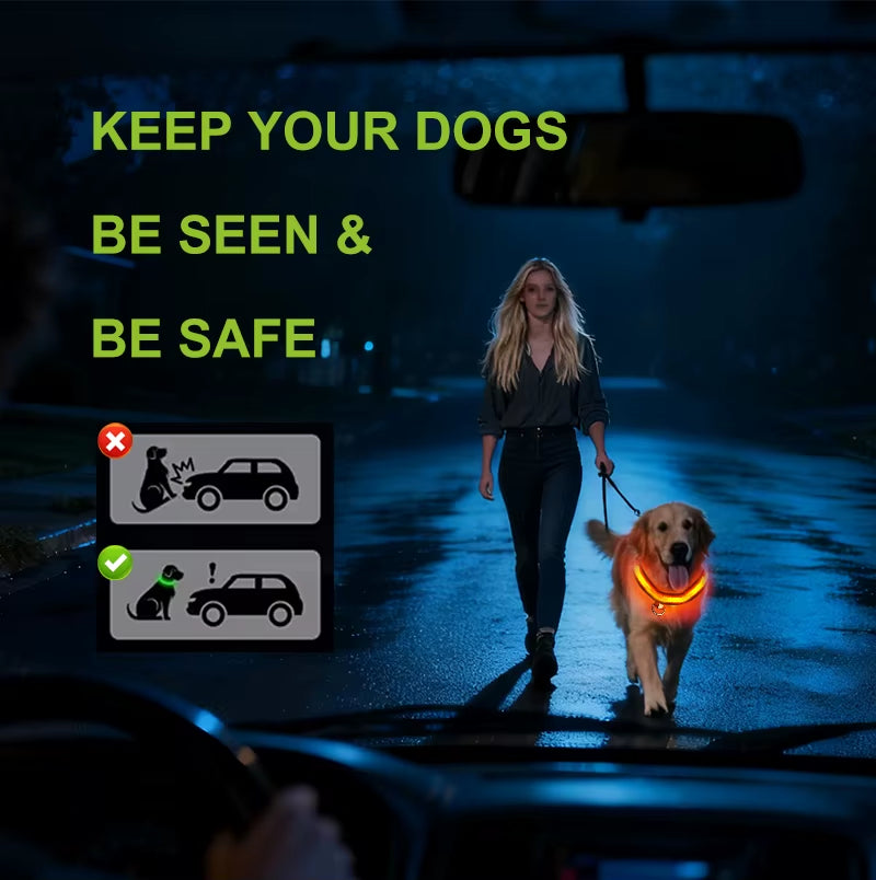 Electronic Pet LED Dog Collar Adjustable Flash Recharge Pet Collars Reflective LED Collars for Dogs Night Anti-Lost Dog Products