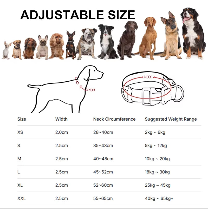 Electronic Pet LED Dog Collar Adjustable Flash Recharge Pet Collars Reflective LED Collars for Dogs Night Anti-Lost Dog Products